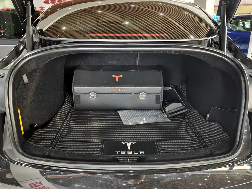 Tesla Model 3 — миниатюра 11