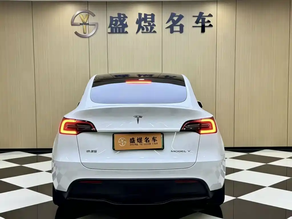 Tesla Model Y — миниатюра 2