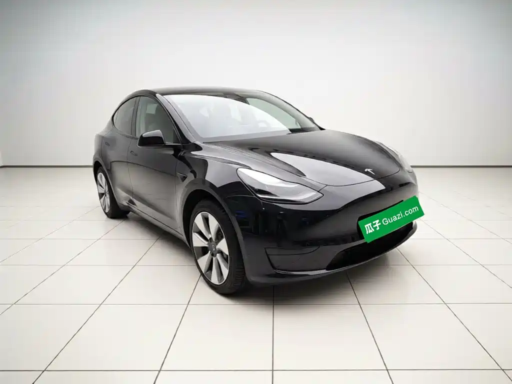 Tesla Model Y — миниатюра 3