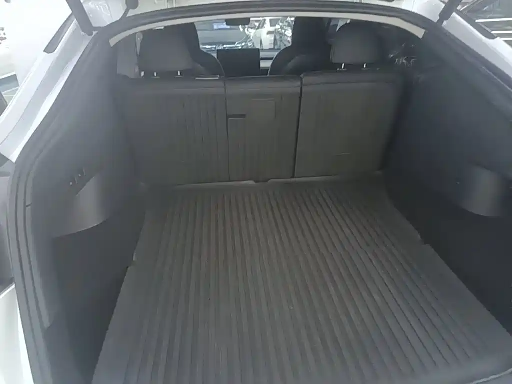 Tesla Model Y — миниатюра 19