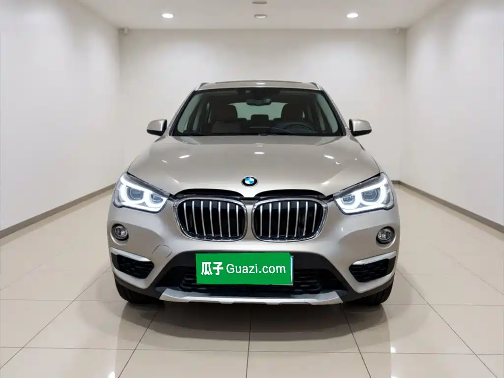 BMW X1 — миниатюра 2