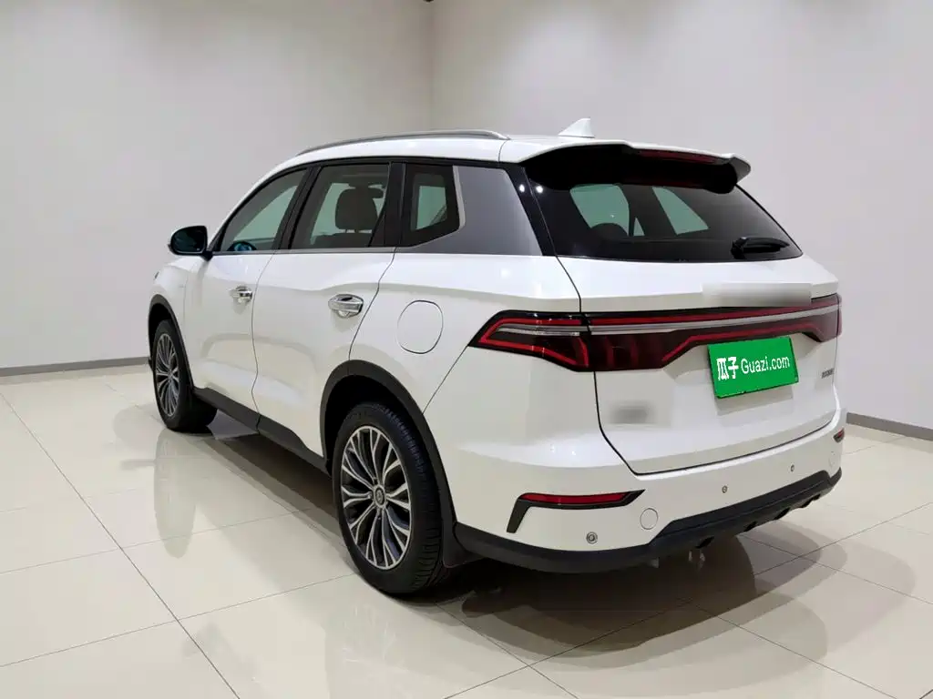BYD Pro New Energy — миниатюра 4