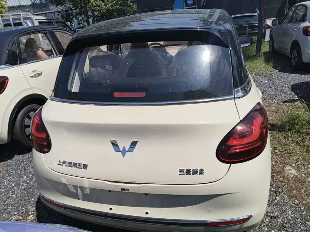 Wuling Binguo 2025 333km Enjoy