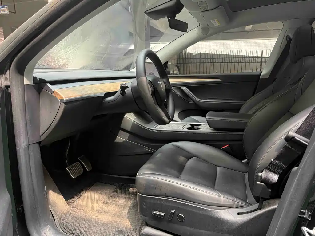 Tesla Model Y — миниатюра 6