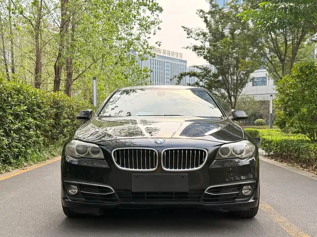 BMW 5 Series — миниатюра 2