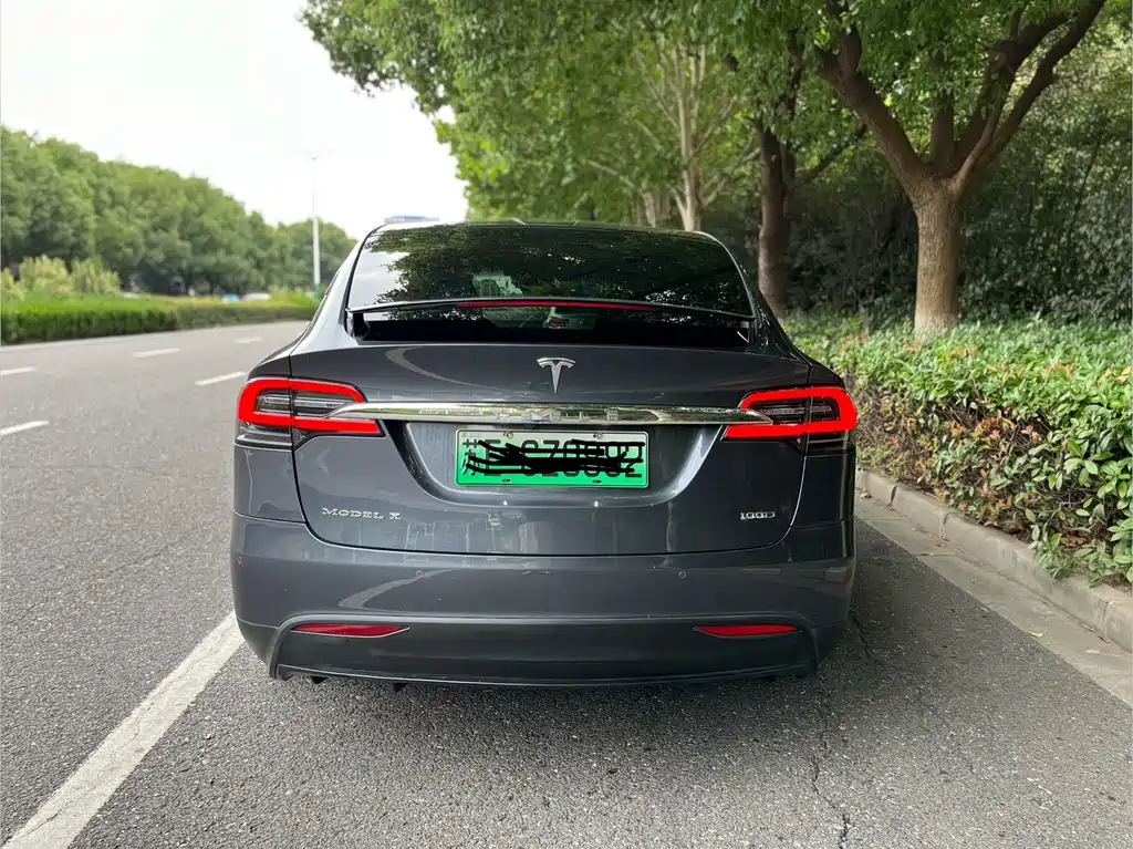 Tesla Model X — миниатюра 4