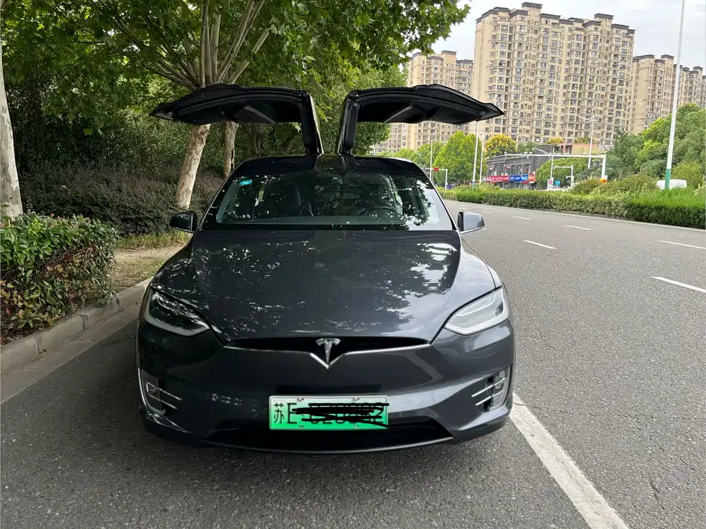 Tesla Model X — миниатюра 2