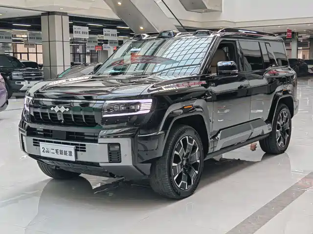 FANG CHENG BAO LEOPARD 8 2024