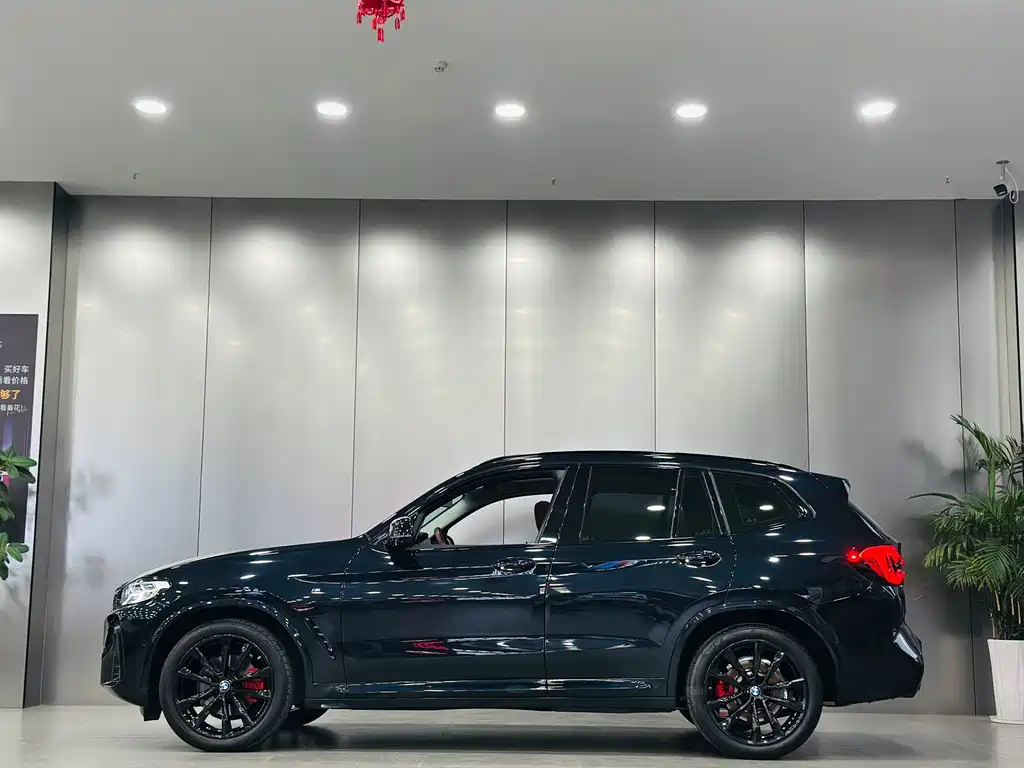 BMW X3 — миниатюра 9