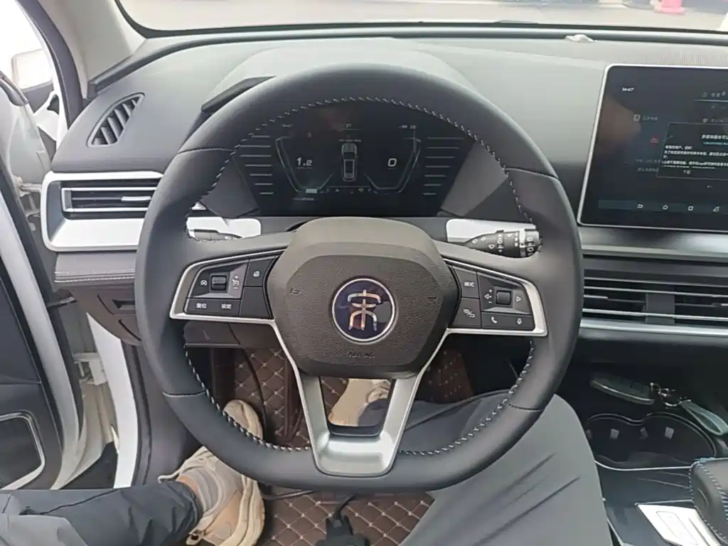 BYD Pro — миниатюра 11