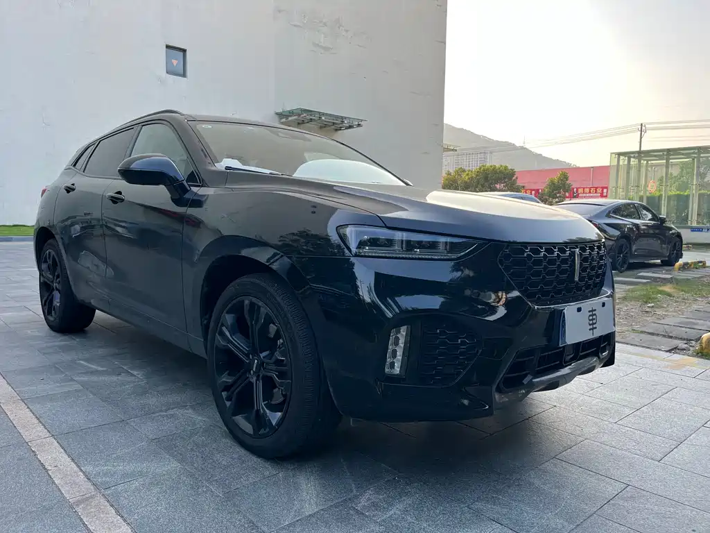 Wey Wey VV7 — миниатюра 3