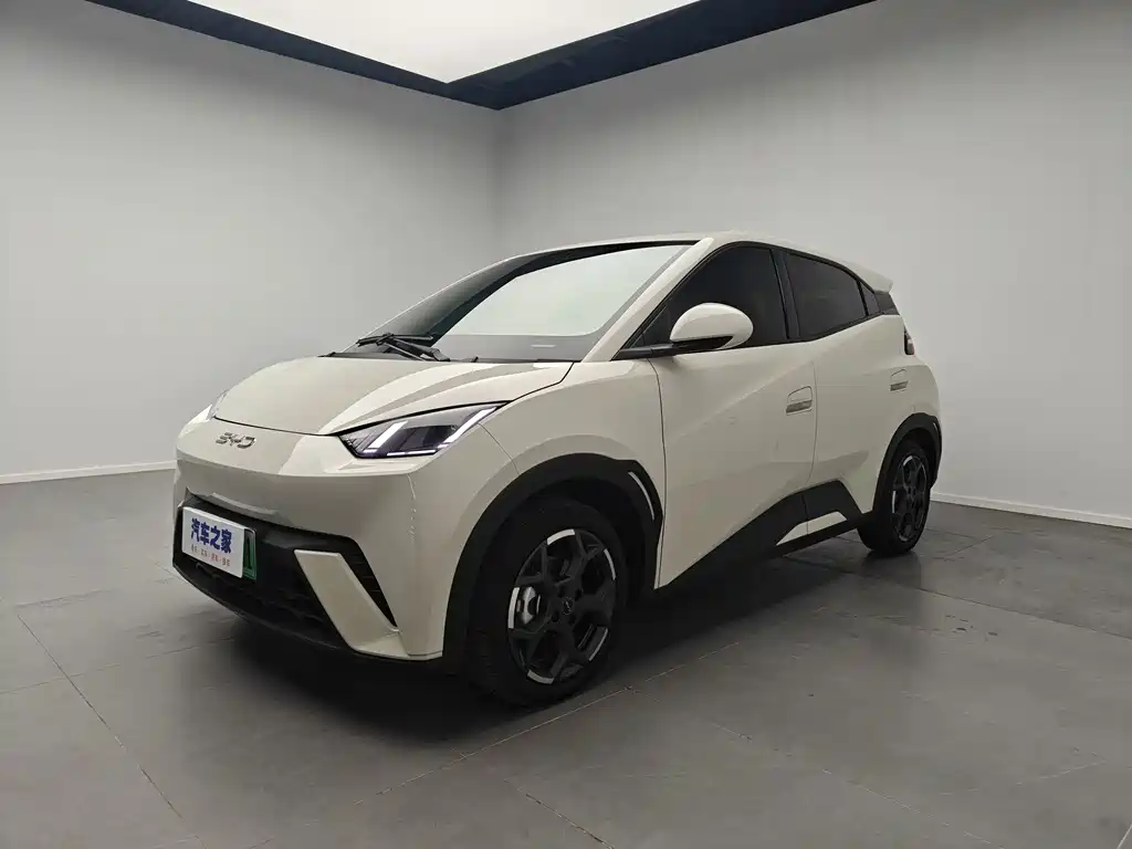 Byd Seagull 2025