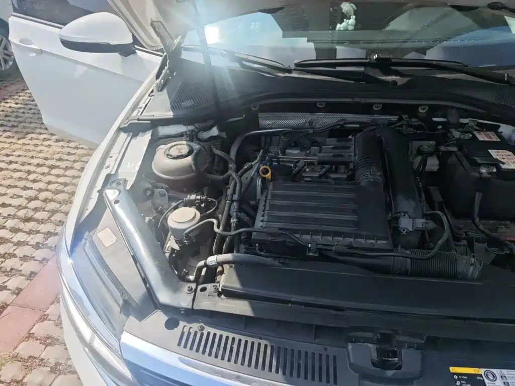 Volkswagen Lamando — миниатюра 23