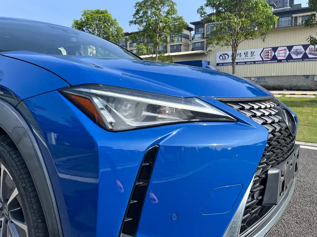 Lexus UX 2020 300e