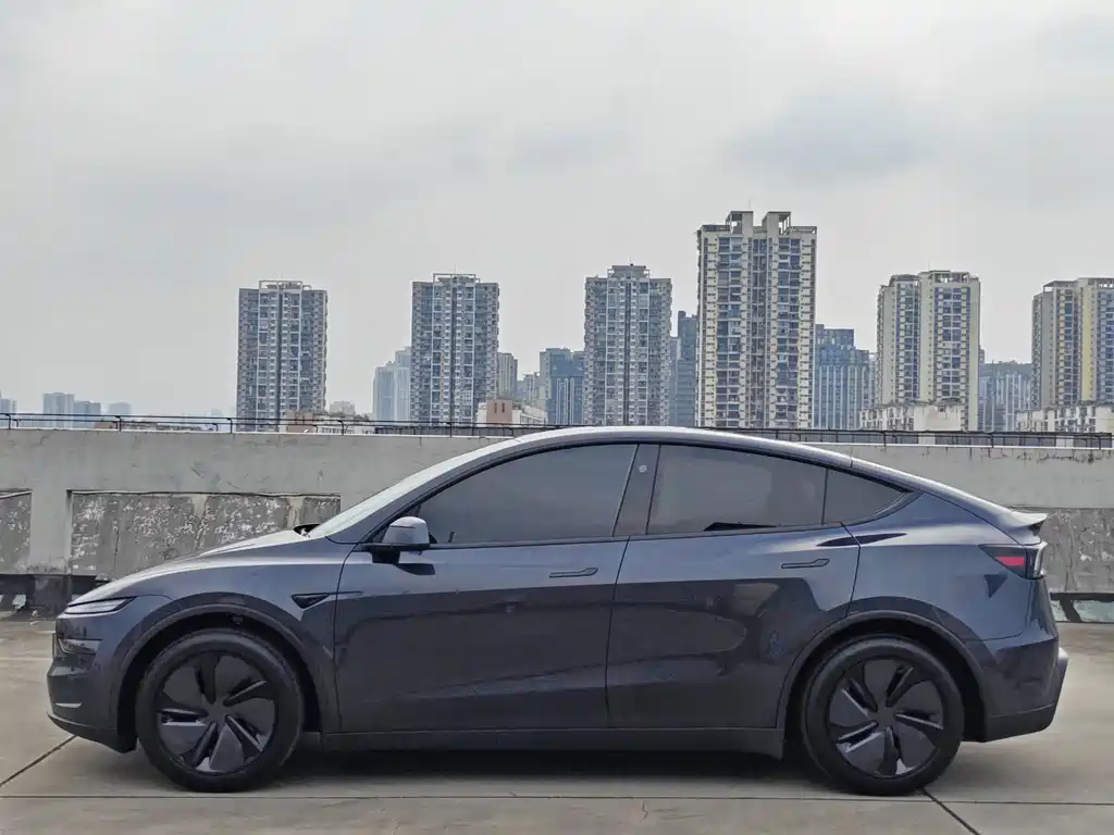Tesla Model Y — миниатюра 4