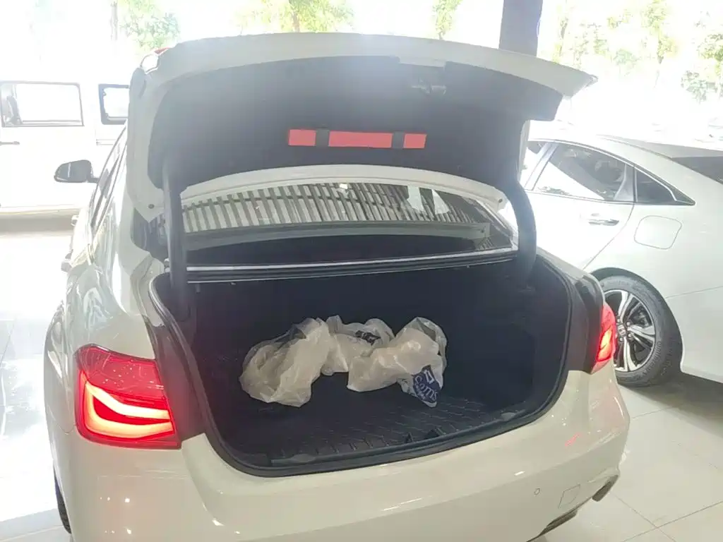 BMW 3 Series — миниатюра 19