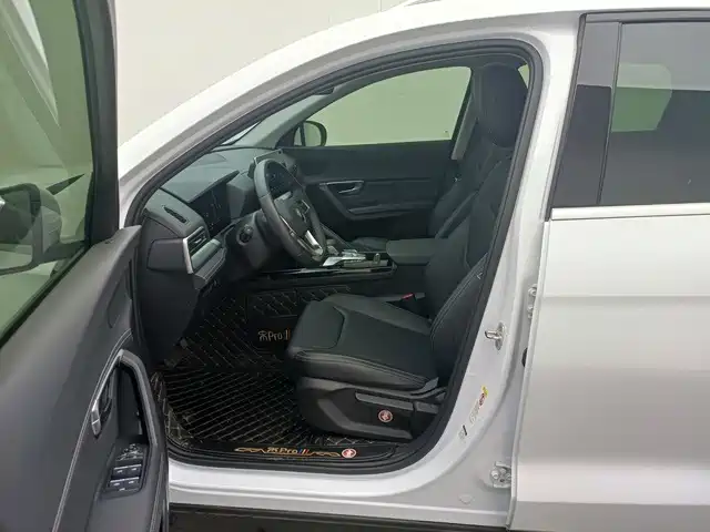 BYD Pro — миниатюра 8