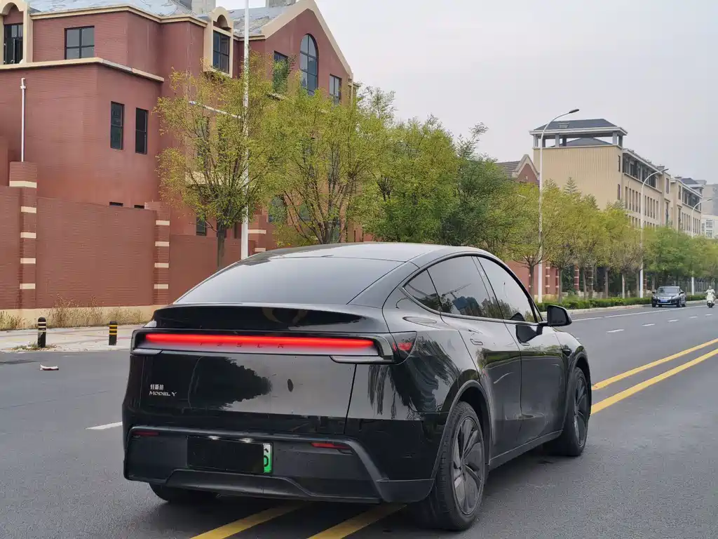 Tesla Model Y — миниатюра 9