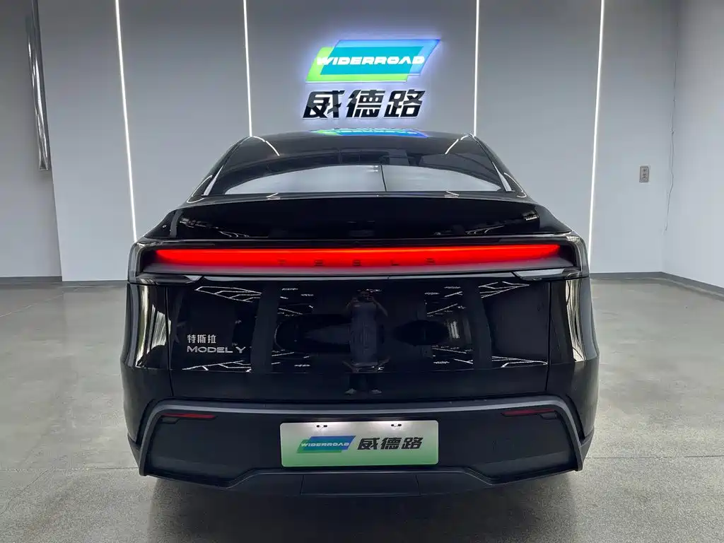 Tesla Model Y — миниатюра 4