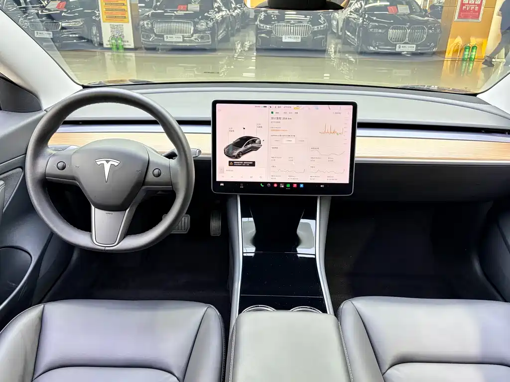 Tesla Model 3 — миниатюра 5