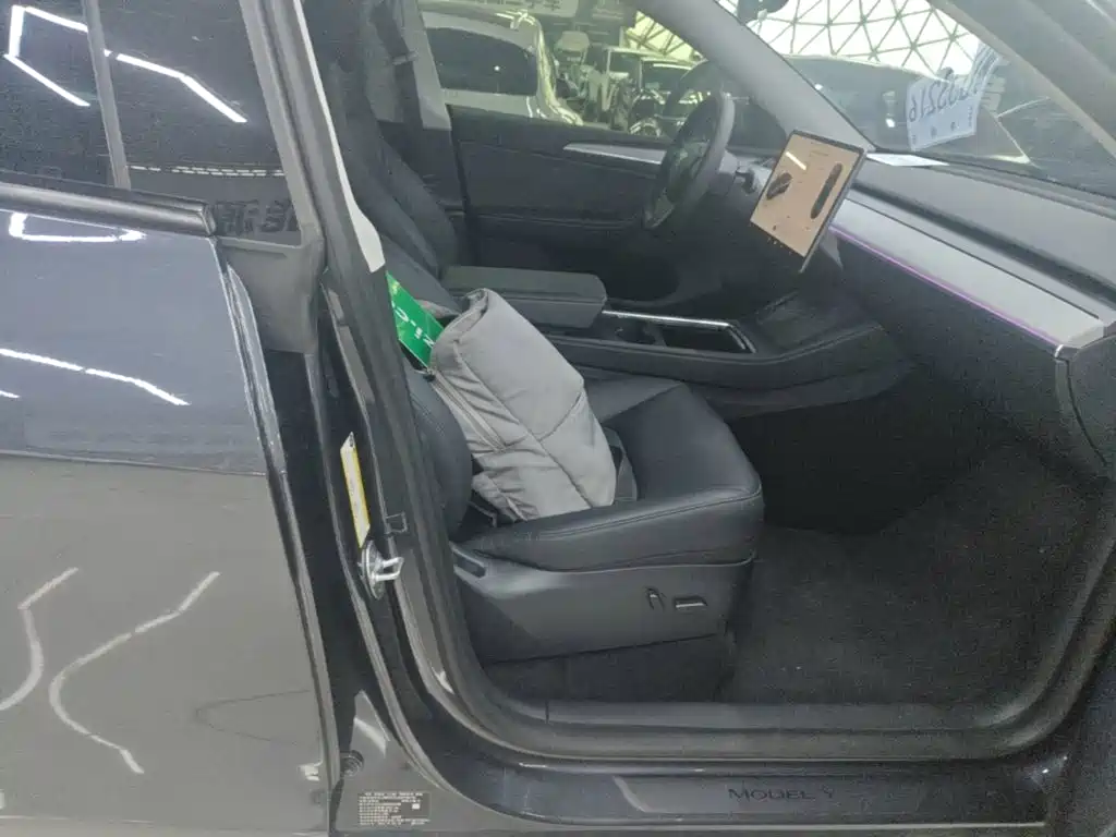 Tesla Model Y — миниатюра 25