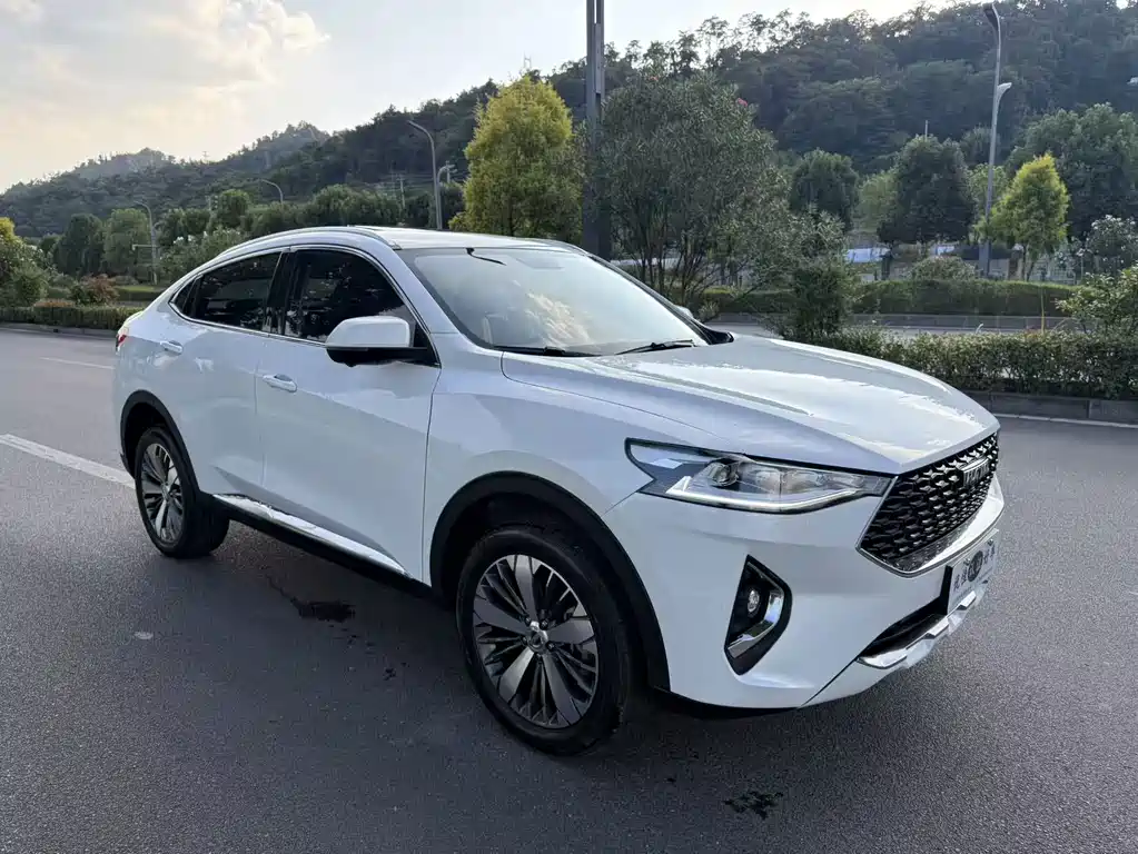 Haval F7x — миниатюра 3
