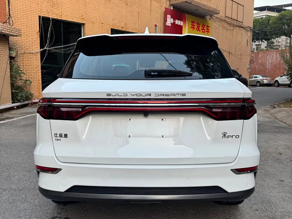 BYD Pro New Energy — миниатюра 6
