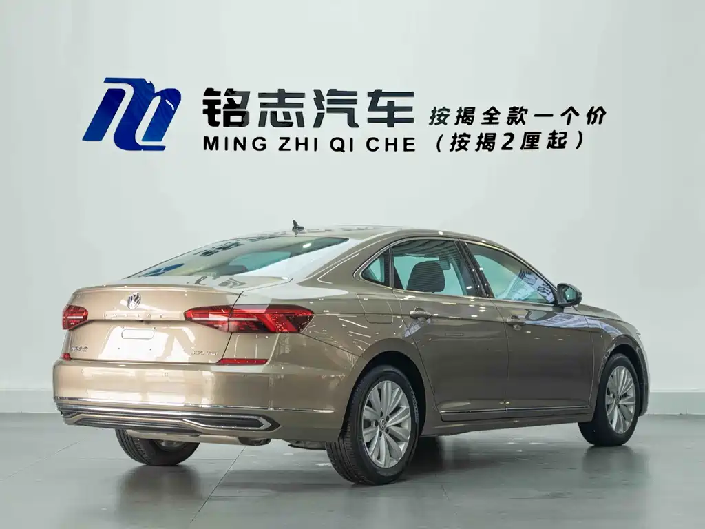 Volkswagen Passat — миниатюра 6