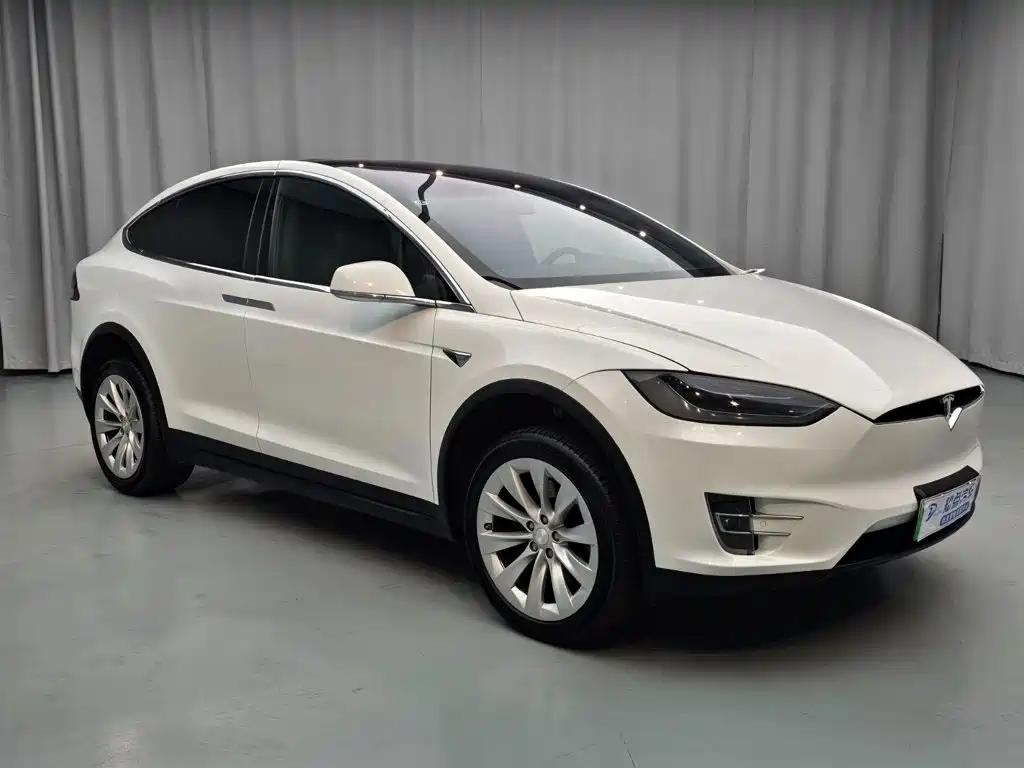 Tesla Model X — миниатюра 8