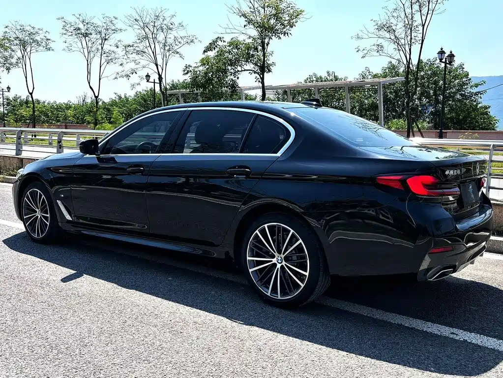 BMW 5 Series — миниатюра 4