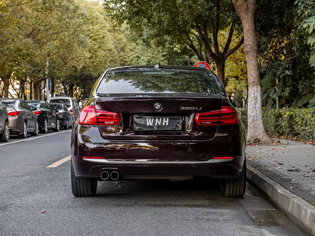 BMW 3 Series 3 2018 320Li Fashion