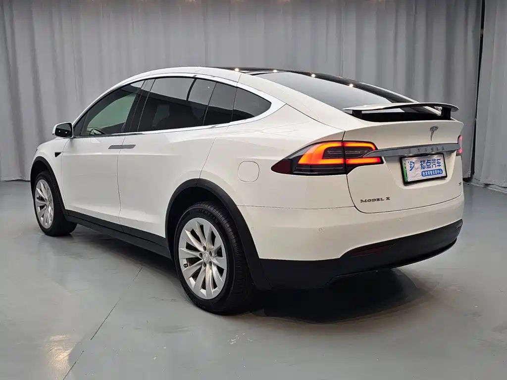 Tesla Model X — миниатюра 3