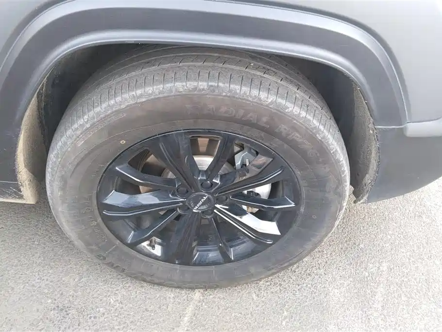 HAVAL RAPTORS NEW ENERGY