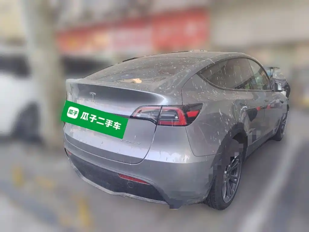 Tesla Model Y — миниатюра 4