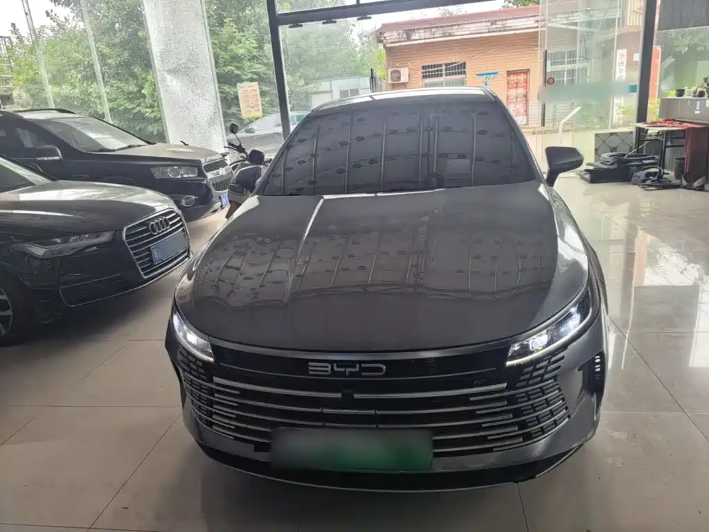 BYD Destroyer 05 2023 Champion DM-i 55KM Luxury