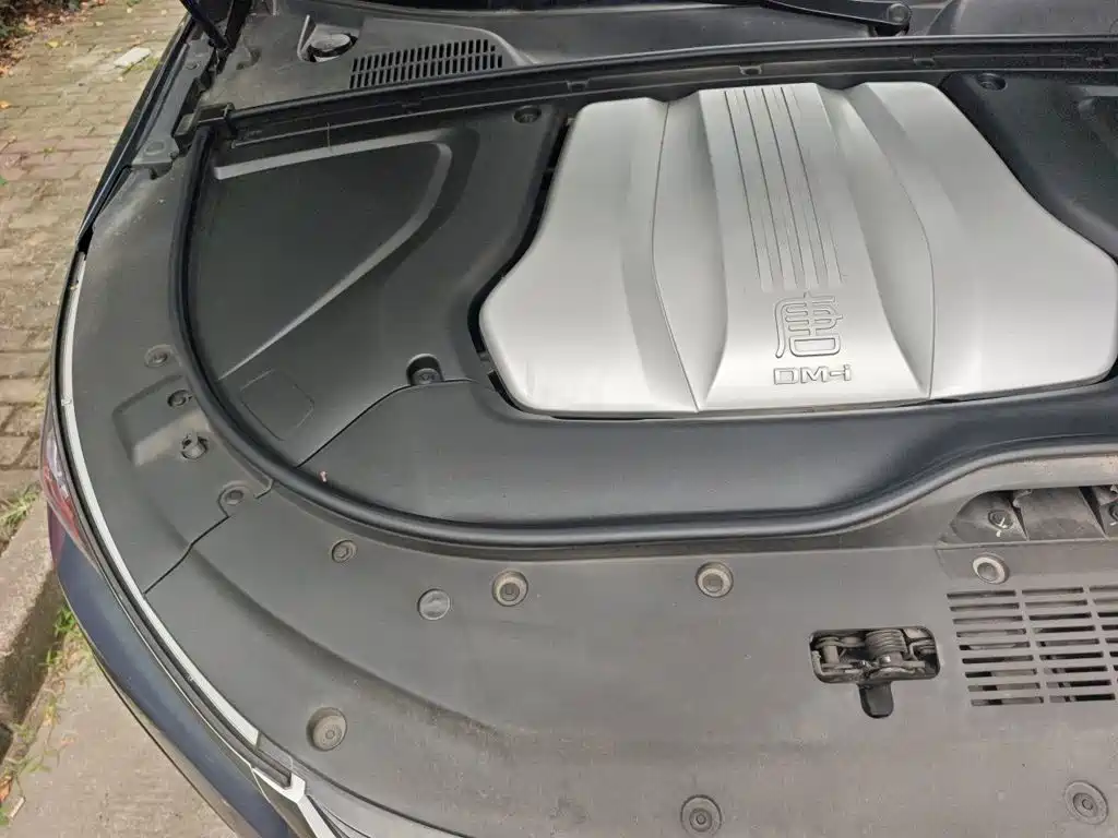 BYD Tang New Energy — миниатюра 20