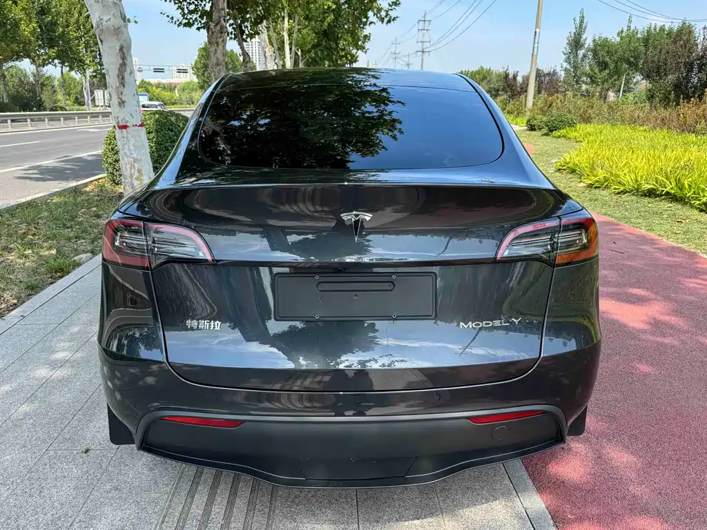 Tesla Model Y — миниатюра 5