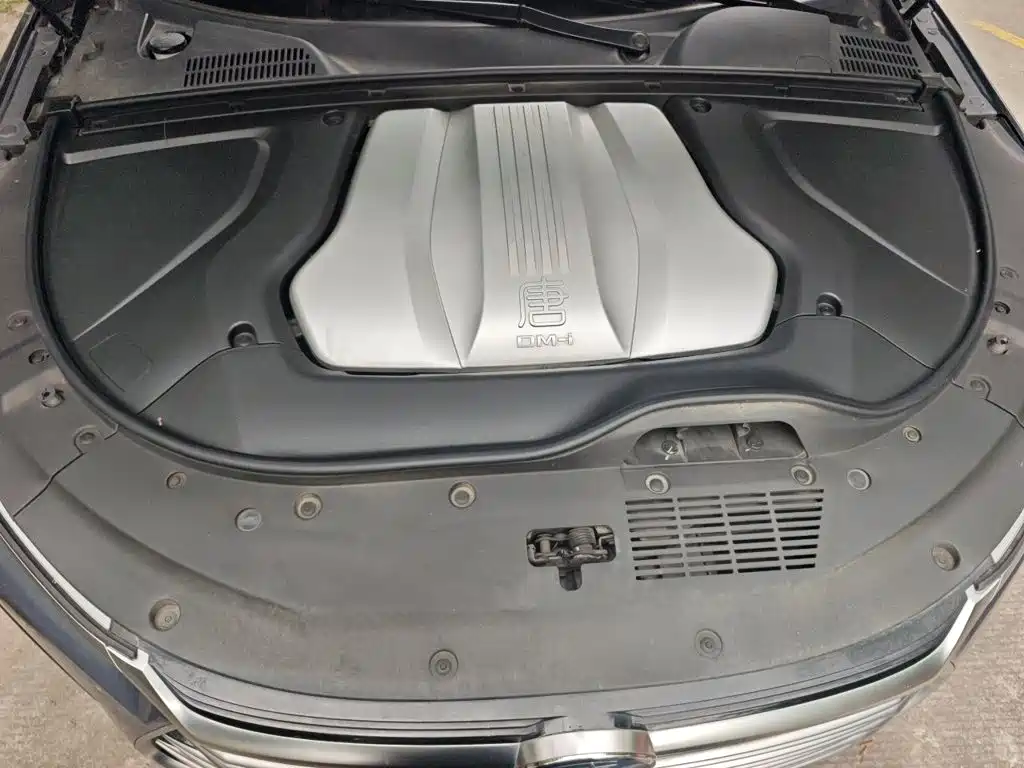 BYD Tang New Energy — миниатюра 11