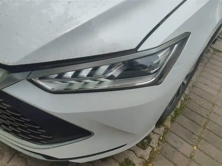 BYD Qin Plus PLUS 2024 DM-i 55KM Lead