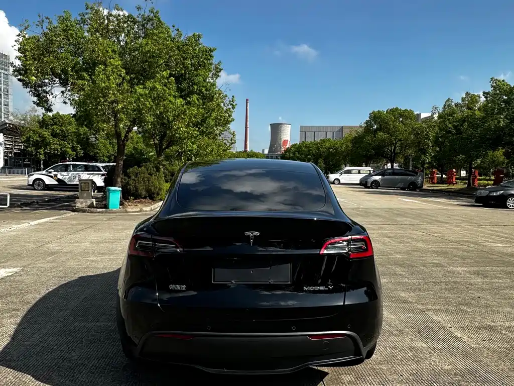 Tesla Model Y — миниатюра 5