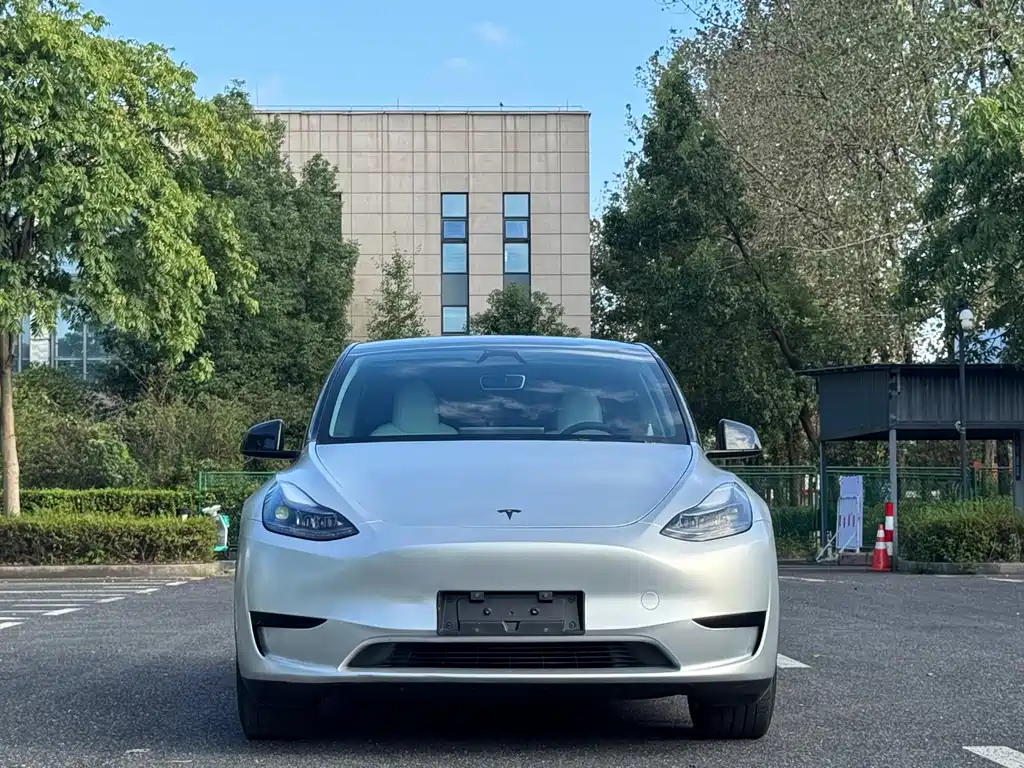 Tesla Model Y — миниатюра 2