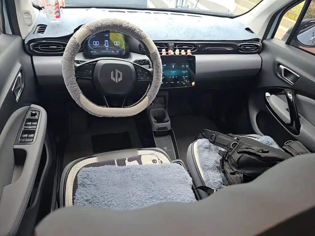 Leapmotor T03 2024 310