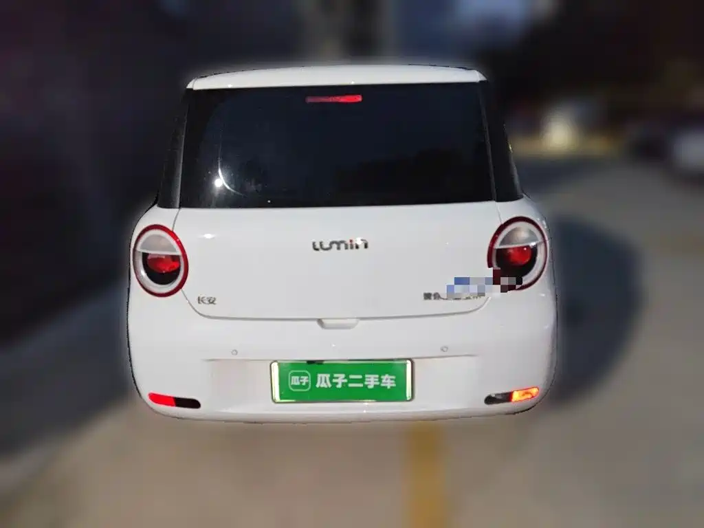 Qiyuan Lumin — миниатюра 3