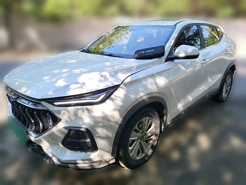 Oshan Oushang X5 — миниатюра 2
