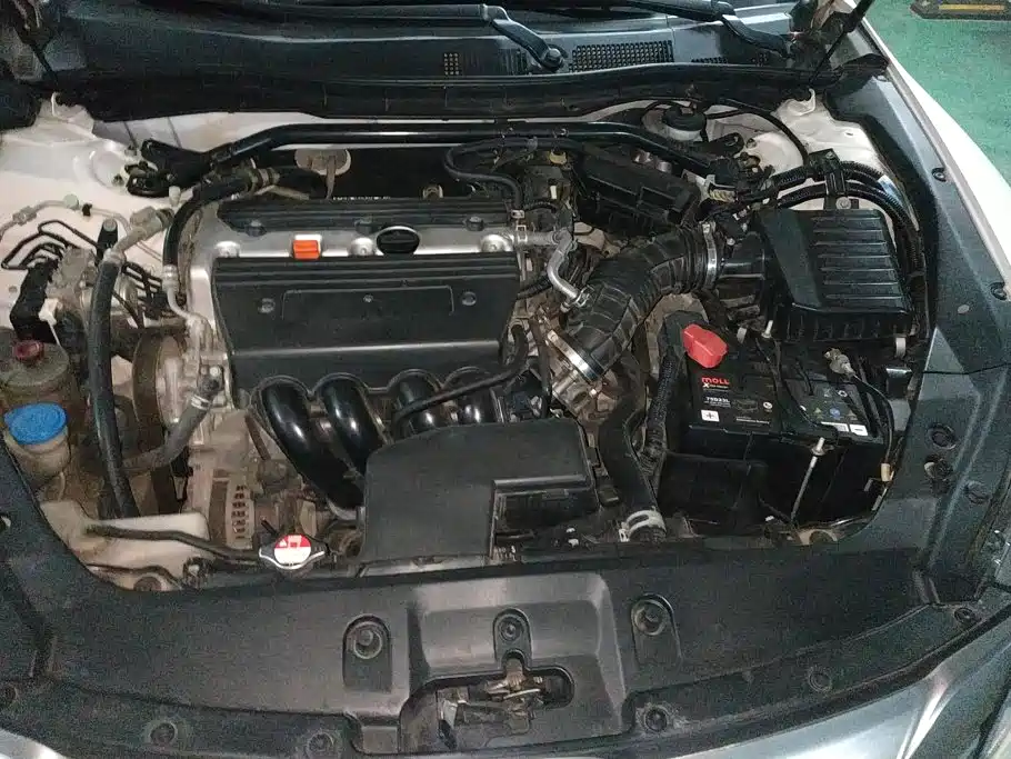 Honda Crosstour — миниатюра 10