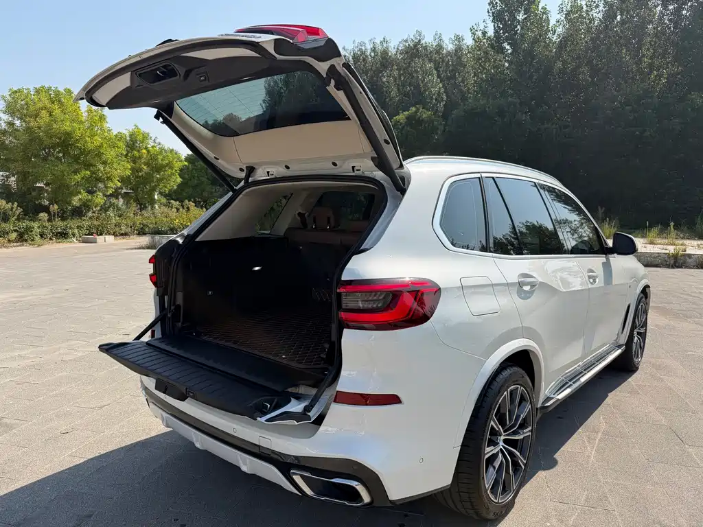 BMW X5 (Import) — миниатюра 15