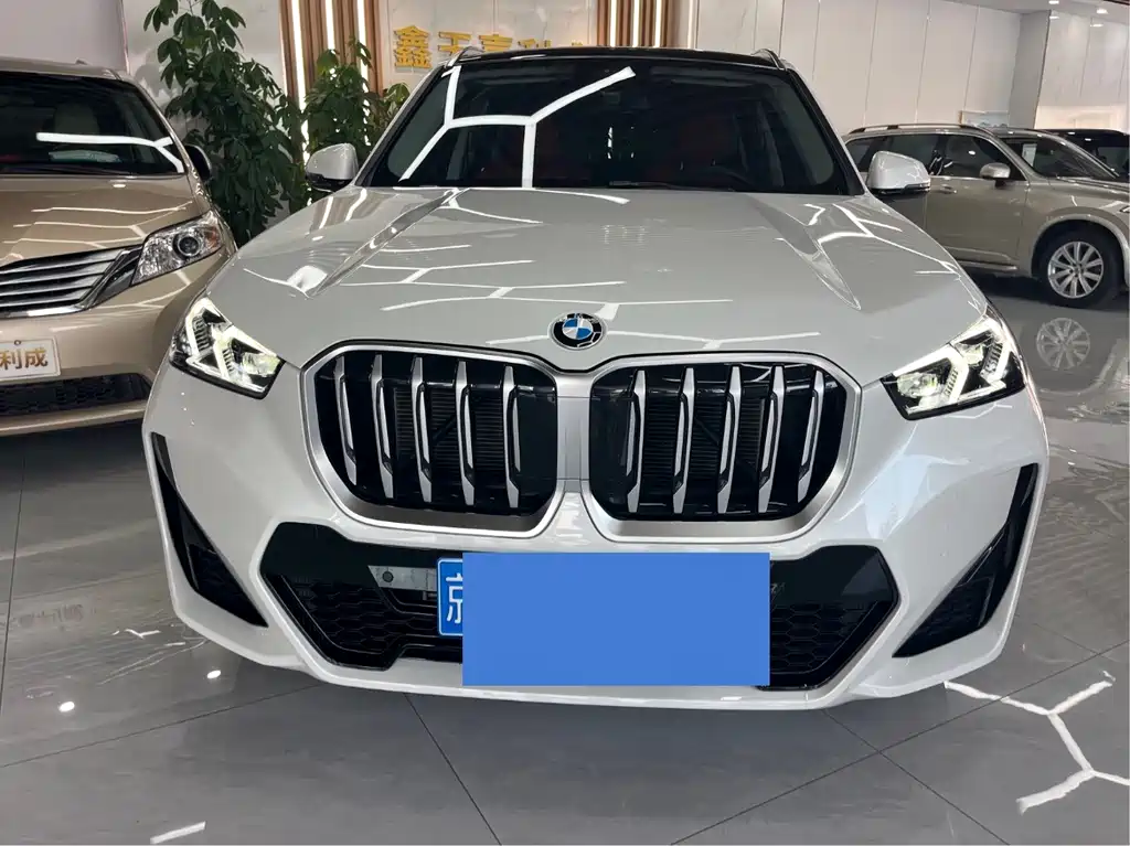 BMW X1 — миниатюра 2