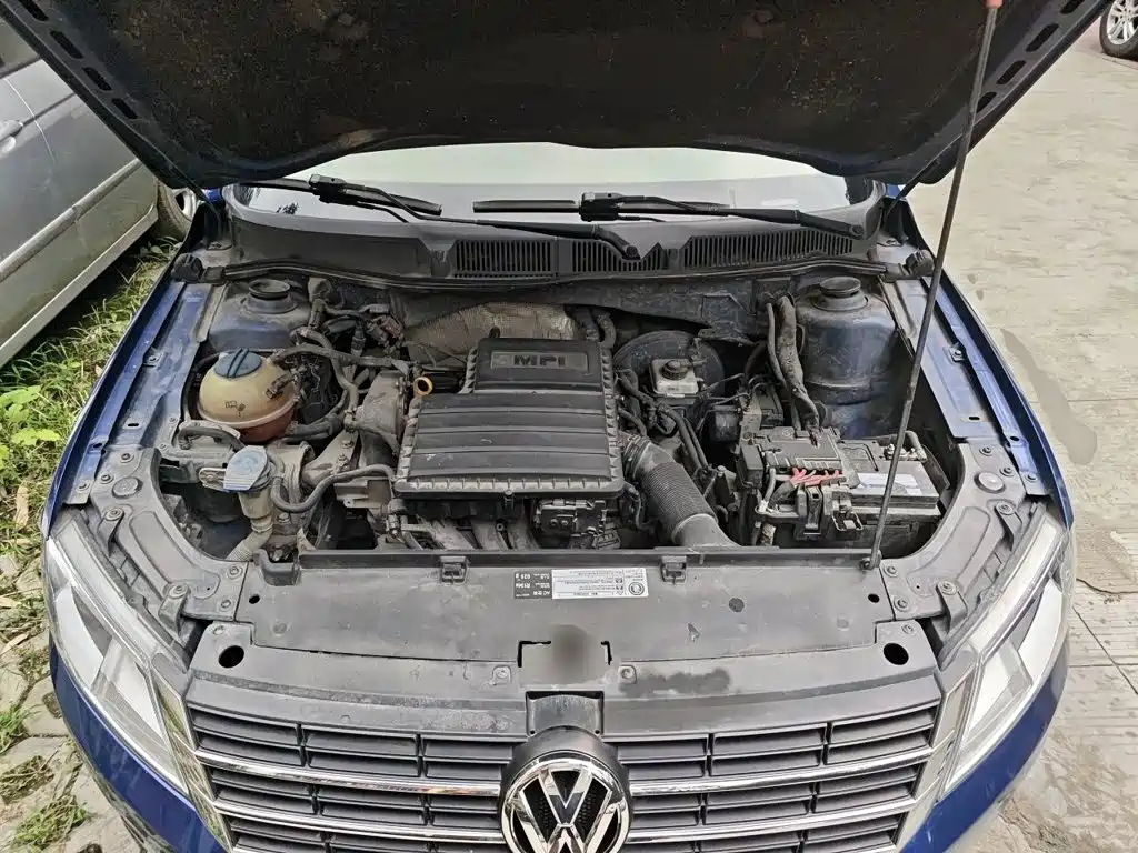 Volkswagen Gran Lavida — миниатюра 11