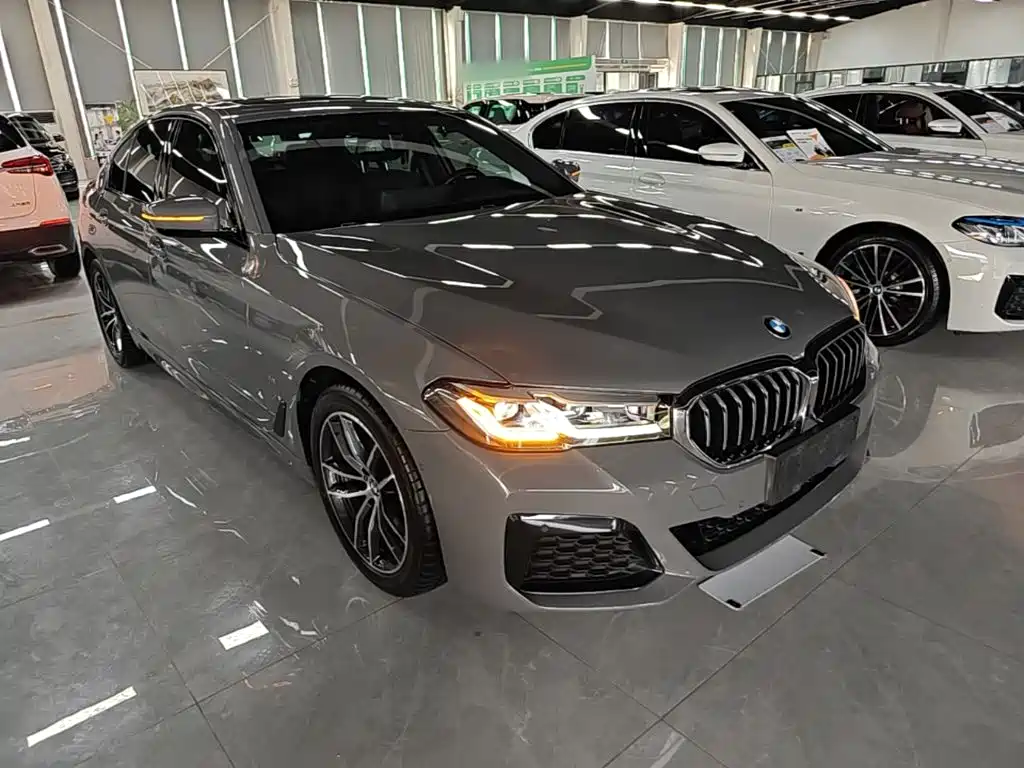 BMW 5 Series (Import) — миниатюра 4