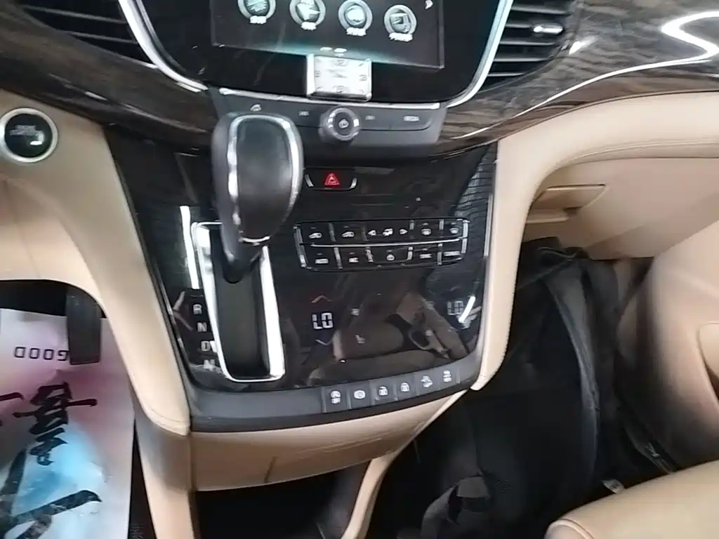Buick GL8 — миниатюра 14